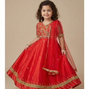 Red Lehenga Choli TNSK48