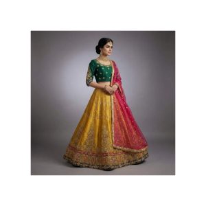 Yellow Green Lehenga Choli - TNSML06