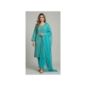 A Regal Outfit for Special Occasions TNSPR13