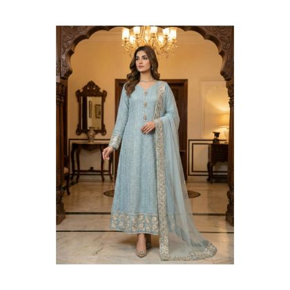 Ice Blue Chikankari outfit TNSPR4