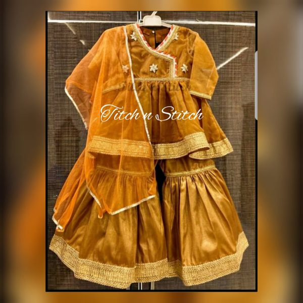 Gharara Outfits TNSK40 - Image 3