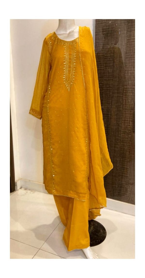 Chiffon Kamdani suit TNSP01 - Image 3