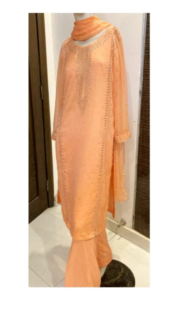 Chiffon Kamdani suit TNSP01 - Image 6